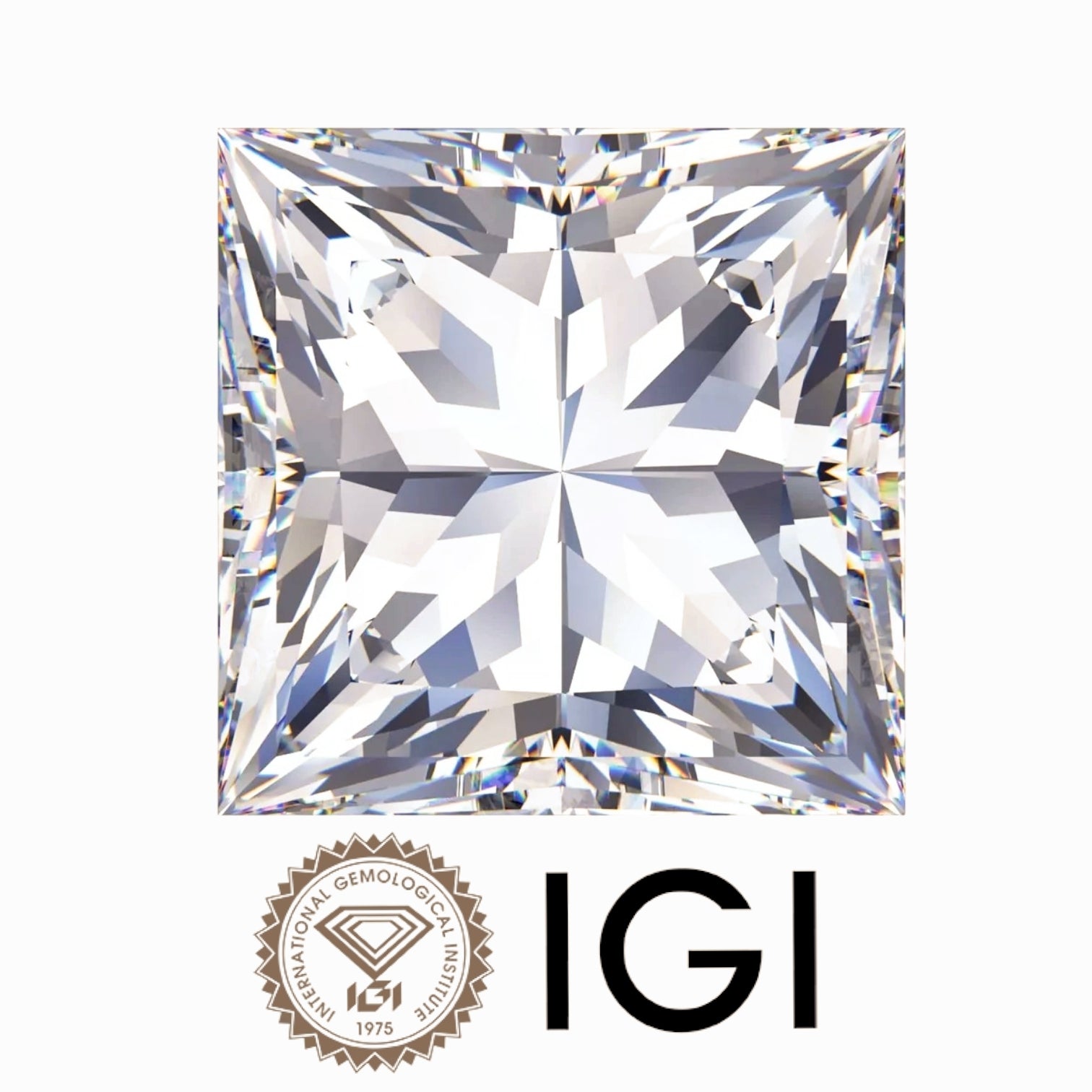 3.08 ct. Princess Wholesale IGI Certified Lab Grown Loose Diamond. (VVS2 / E)